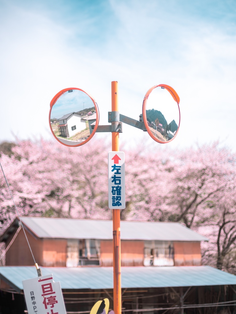 spring color in japan