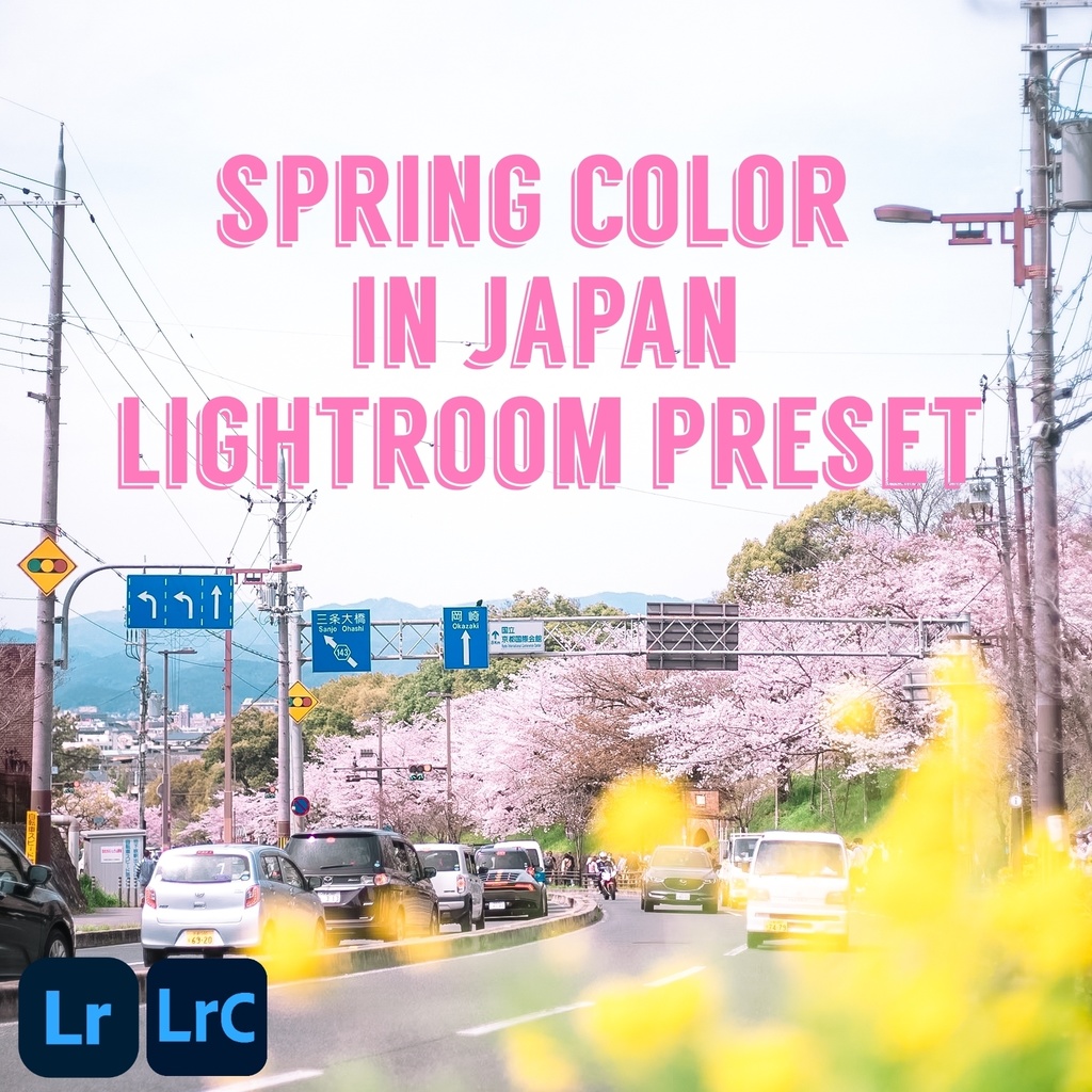 spring color in japan