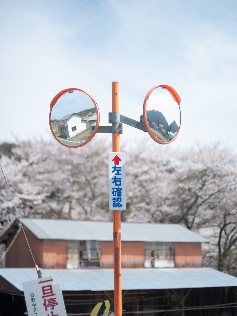 spring color in japan