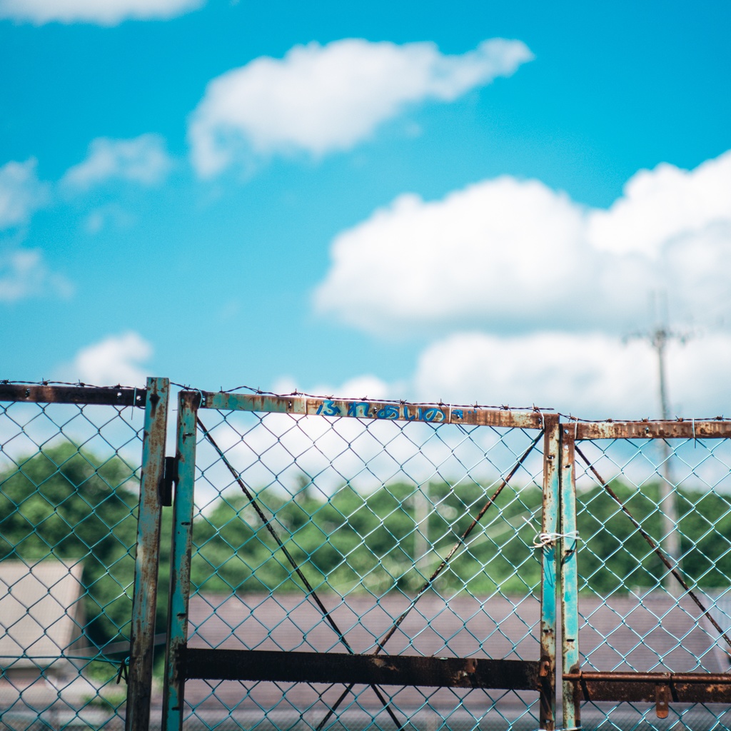 summer color in japan