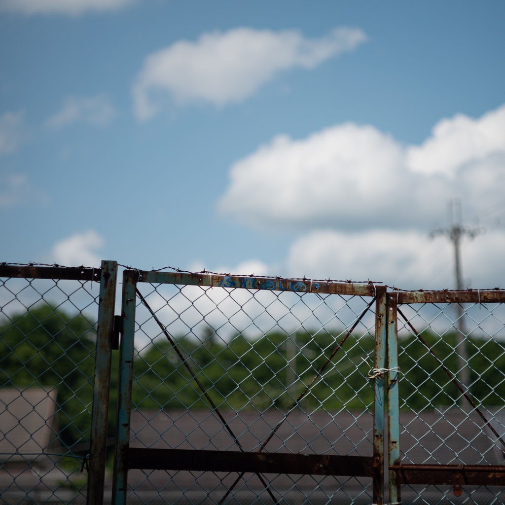 summer color in japan