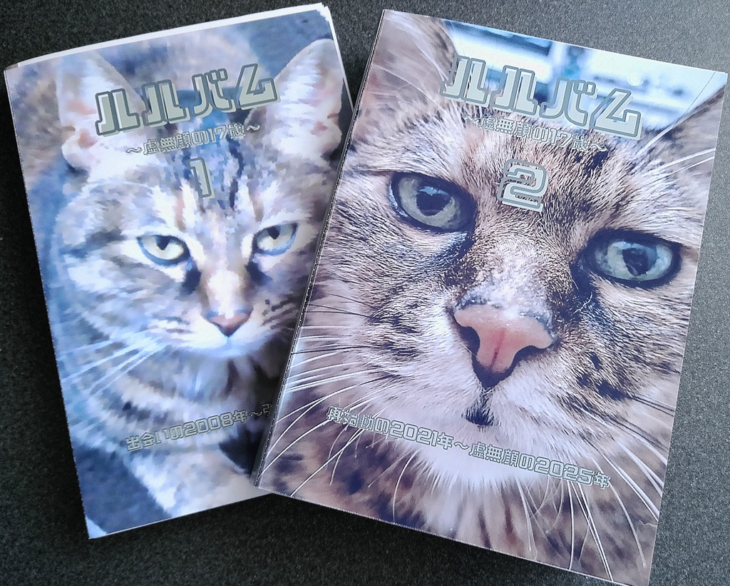 ZINE「ルルバム～虚無顔の17歳～」