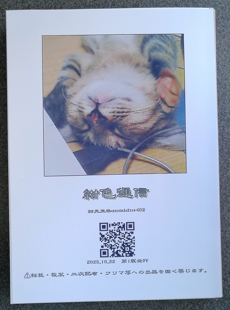 ZINE「ルルバム~虚無顔の17歳~」