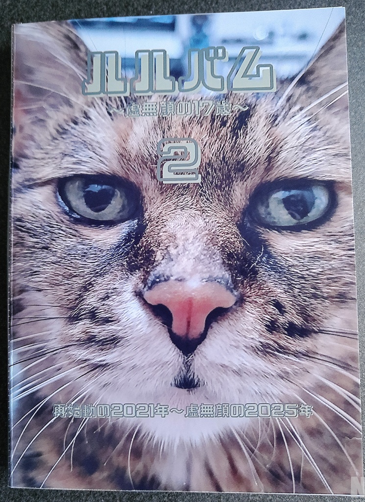 ZINE「ルルバム~虚無顔の17歳~」