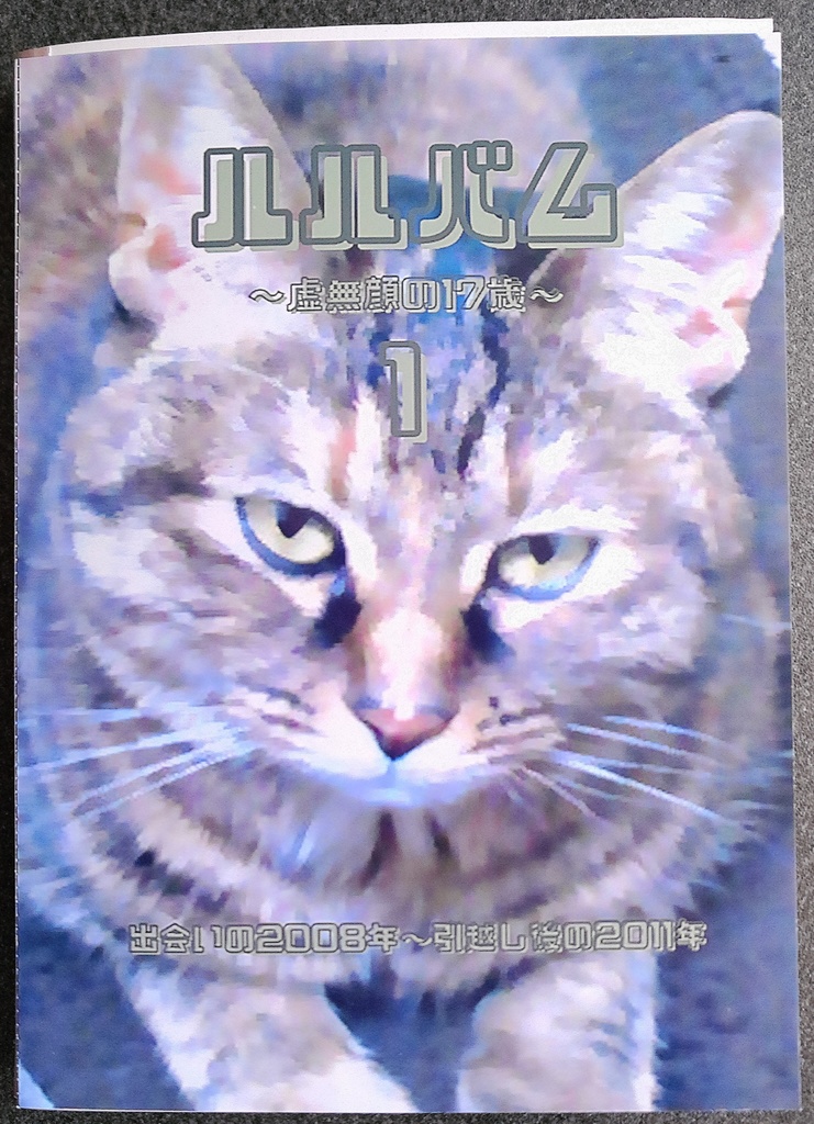 ZINE「ルルバム~虚無顔の17歳~」