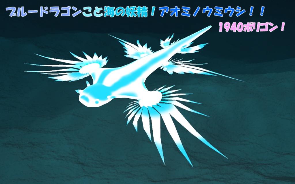 海に住む妖精！アオミノウミウシ！！