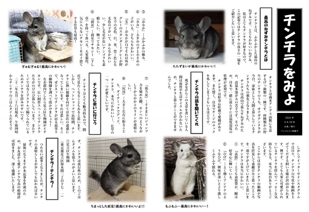 (データ版)うそチンチラとダメな人間たちと蟹のうた