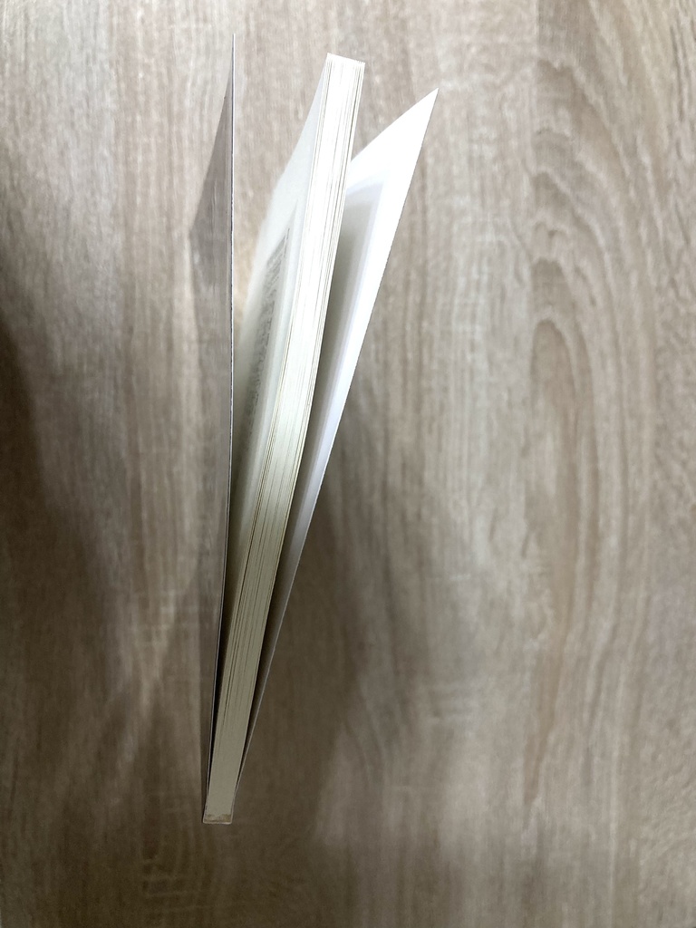 Hazbin Hotel アラスター夢小説本 「上級悪魔なんてこわくない I」 A5 / 100P