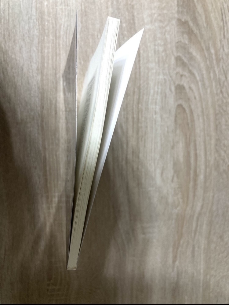 Hazbin Hotel アラスター夢小説本 「上級悪魔なんてこわくない Ⅱ」 A5 / 100P