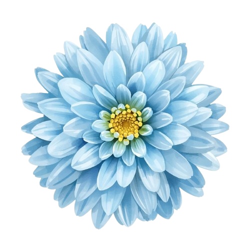 【秋の花シリーズ】水彩風ポップかわいいクリップアート素材6点セット(PNGダウンロード)