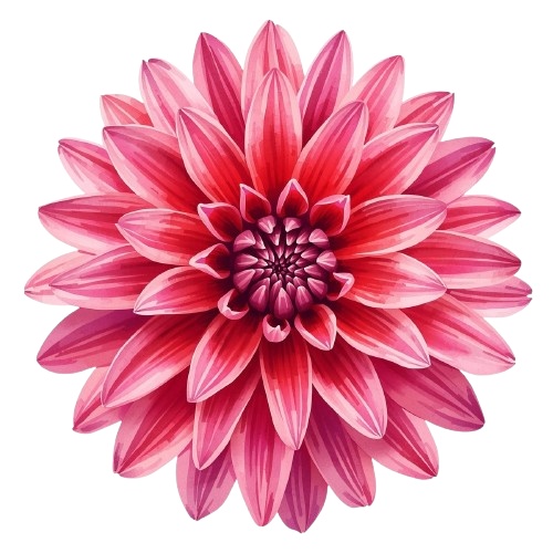 【秋の花シリーズ】水彩風ポップかわいいクリップアート素材6点セット(PNGダウンロード)