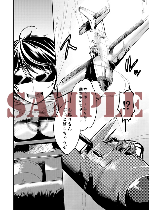 空戦騎士と銀翼の姫君