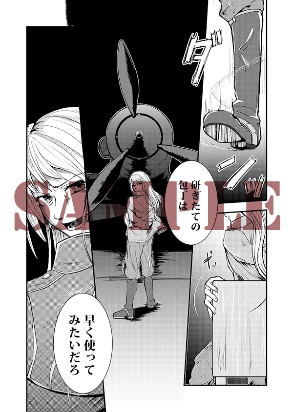 空戦騎士と銀翼の姫君