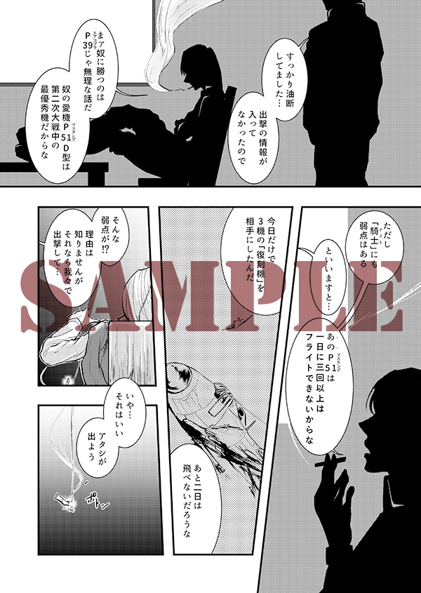 空戦騎士と銀翼の姫君