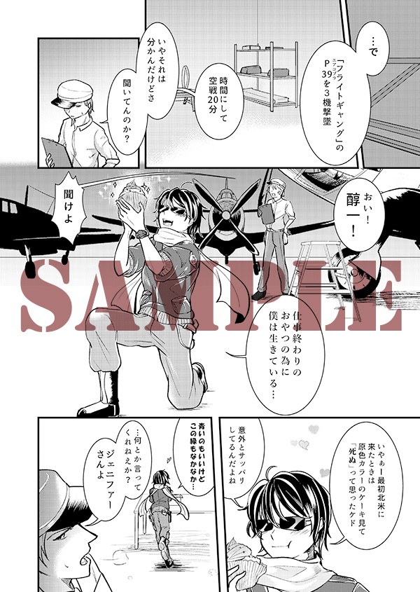 空戦騎士と銀翼の姫君