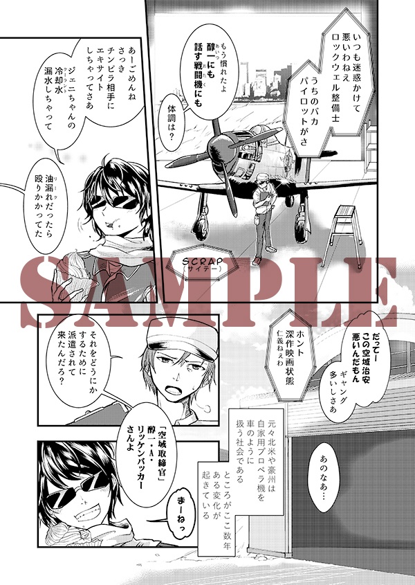 空戦騎士と銀翼の姫君