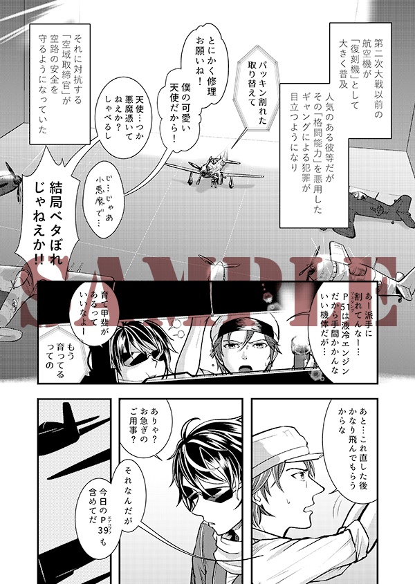 空戦騎士と銀翼の姫君