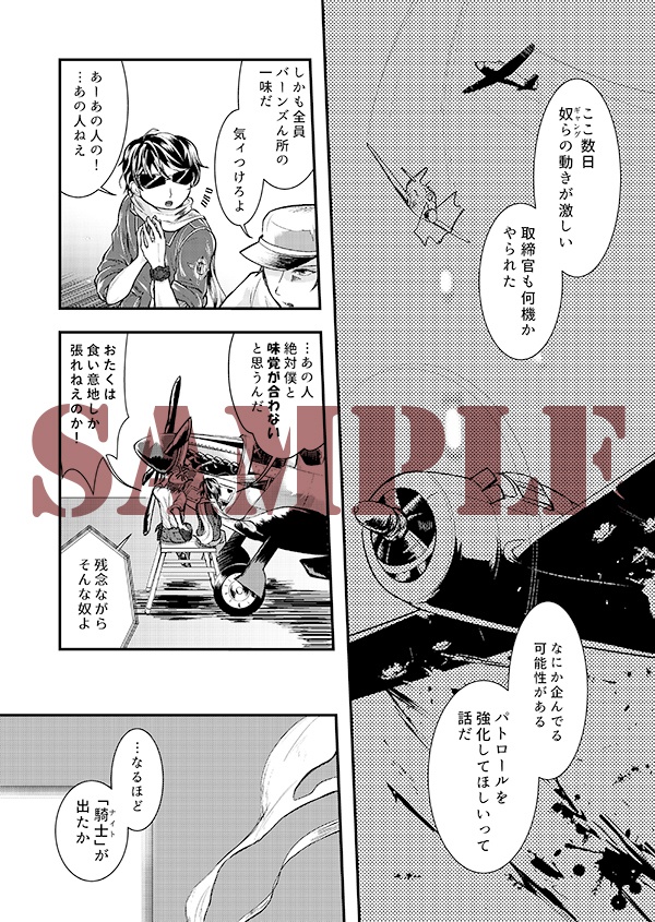 空戦騎士と銀翼の姫君