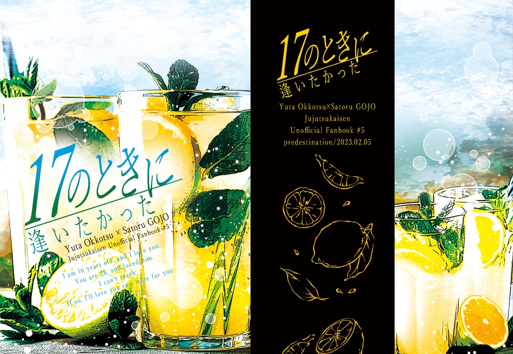 17のときに逢いたかった