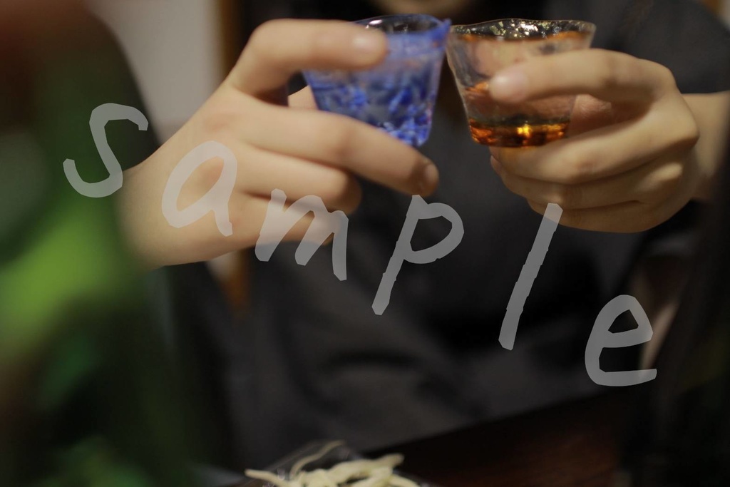 帝都騎殺コスプレフォトブック「ざんか」