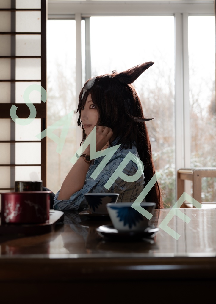 真冬のシリウス計画