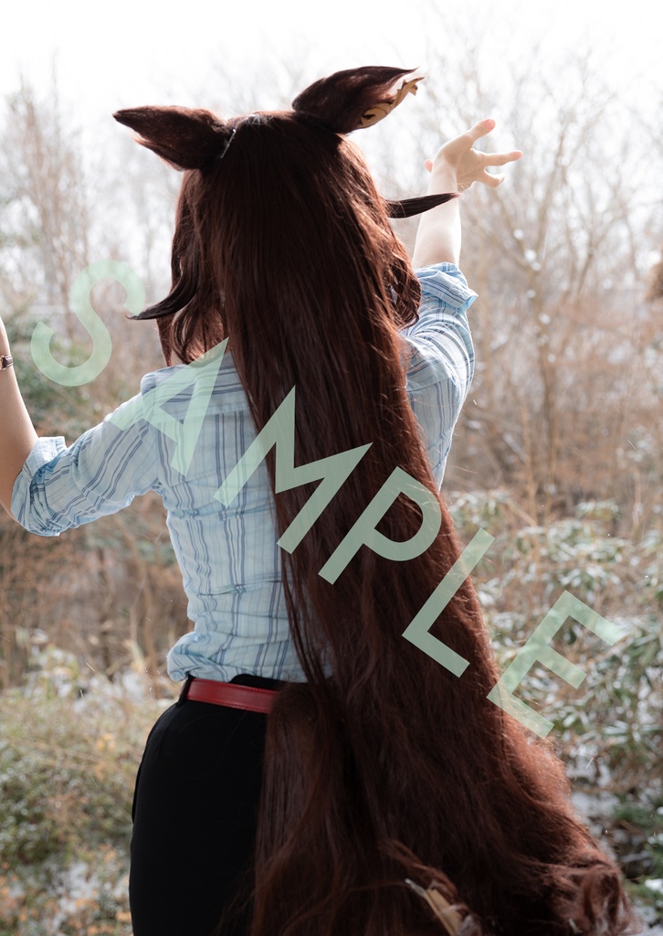 真冬のシリウス計画