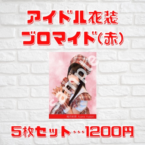 アイドル衣装🌟ブロマイド5枚セット(赤)