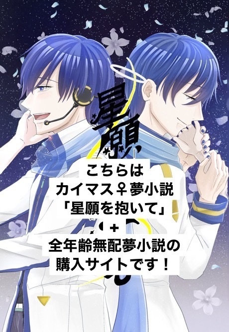 星願を抱いて(全年齢無配付き)