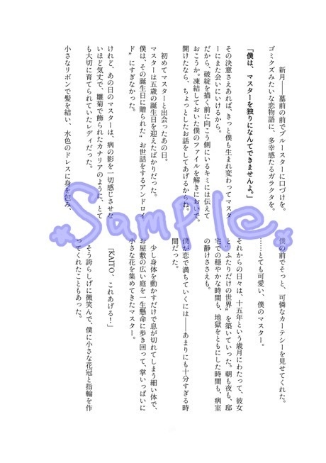 星願を抱いて(全年齢無配付き)