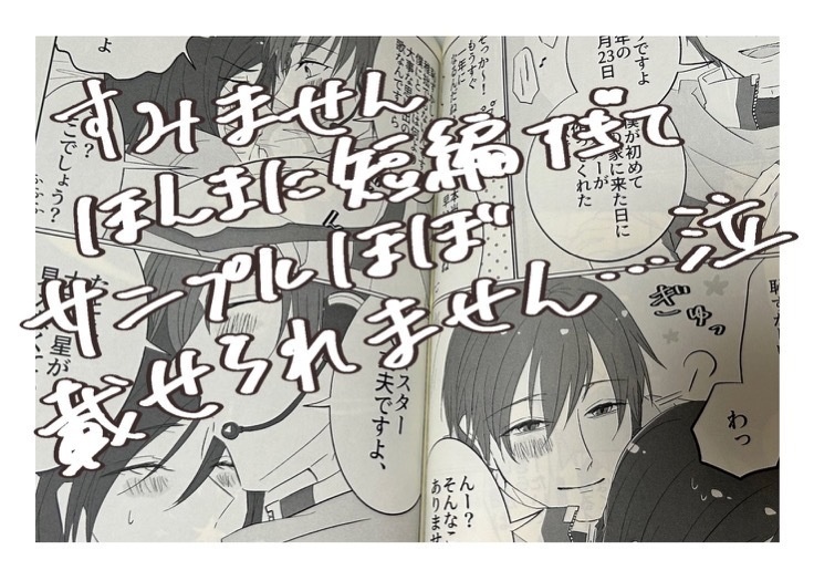 星願を抱いて(全年齢無配付き)