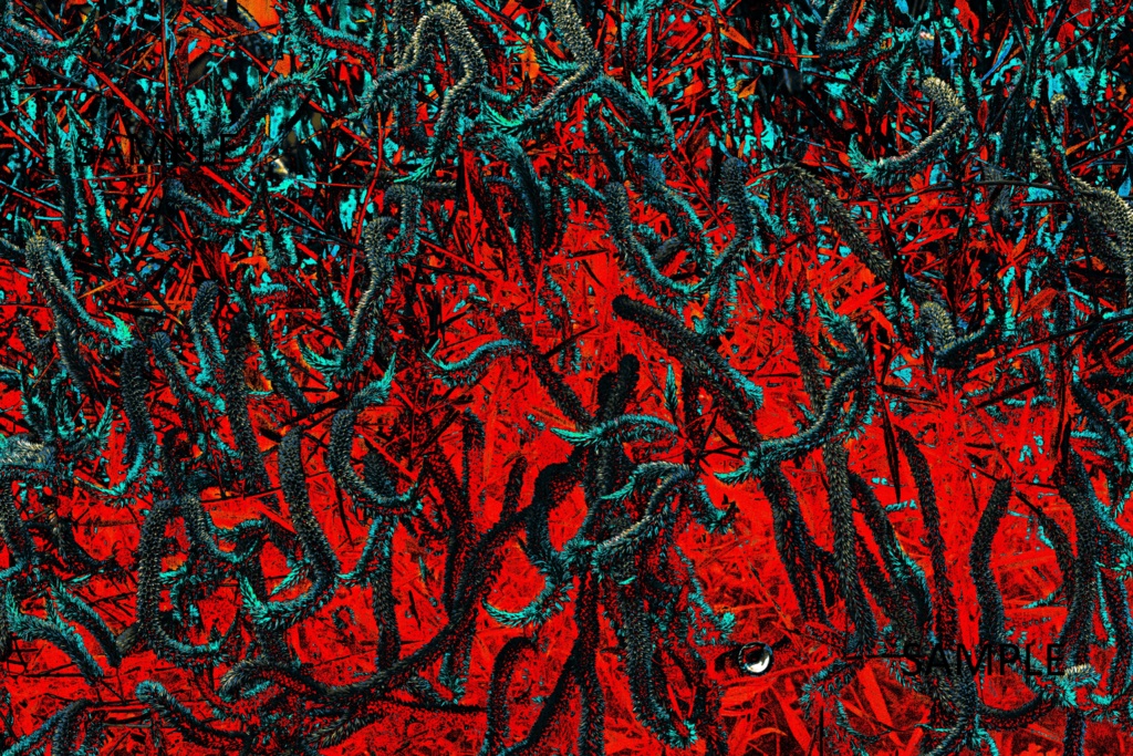 極彩集-クトゥルフ・ホラーで使える写真素材集-