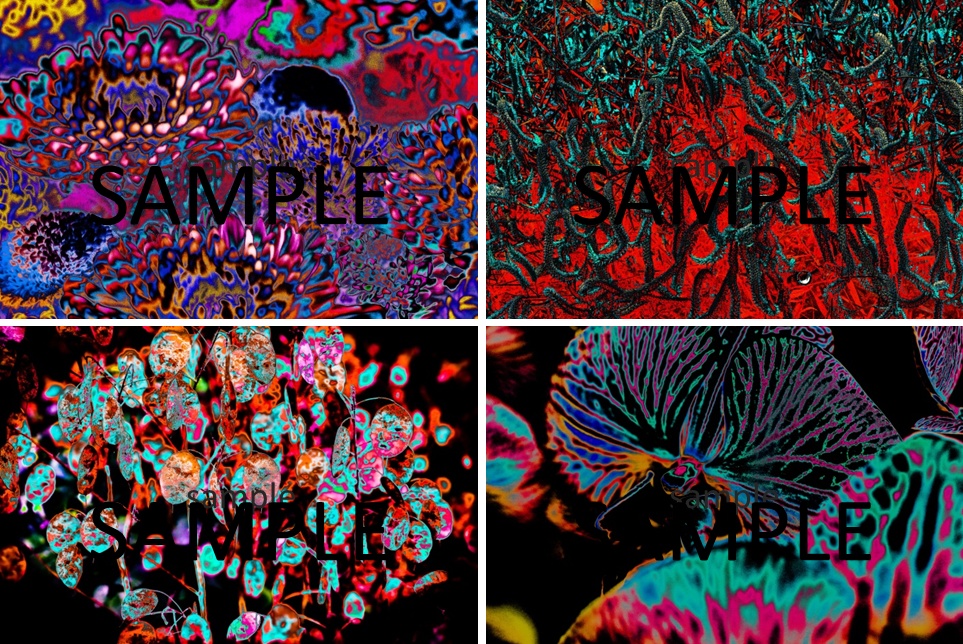 極彩集-クトゥルフ・ホラーで使える写真素材集-