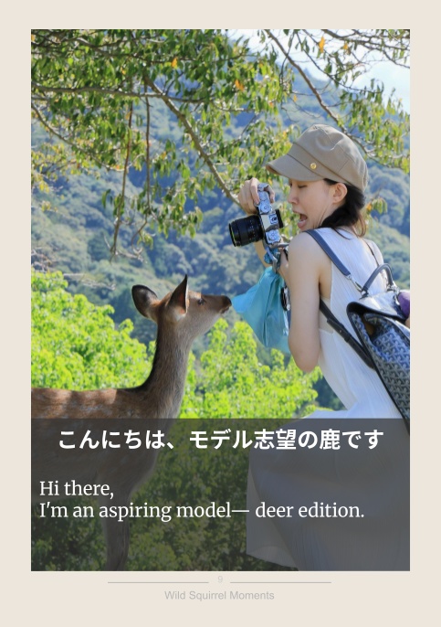 Mofuly Journal — Wild Squirrel Moments —