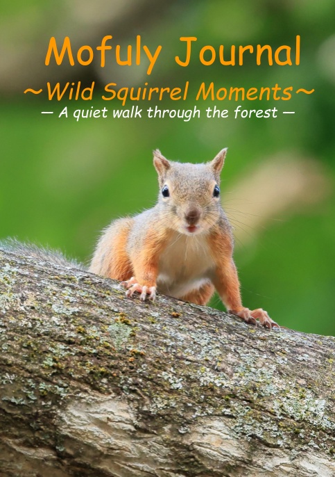 Mofuly Journal — Wild Squirrel Moments —