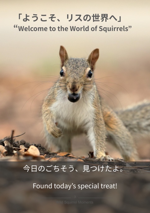 Mofuly Journal — Wild Squirrel Moments —
