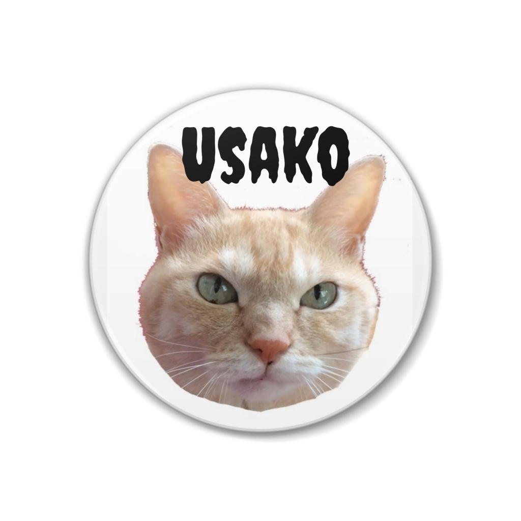 usako缶バッジ
