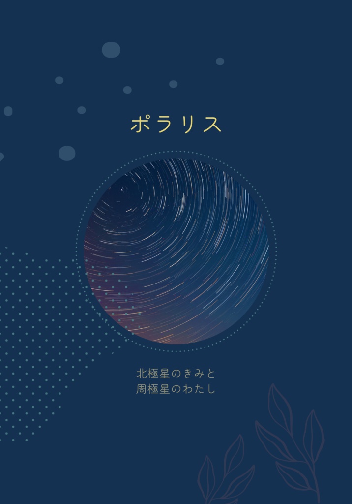 ポラリス