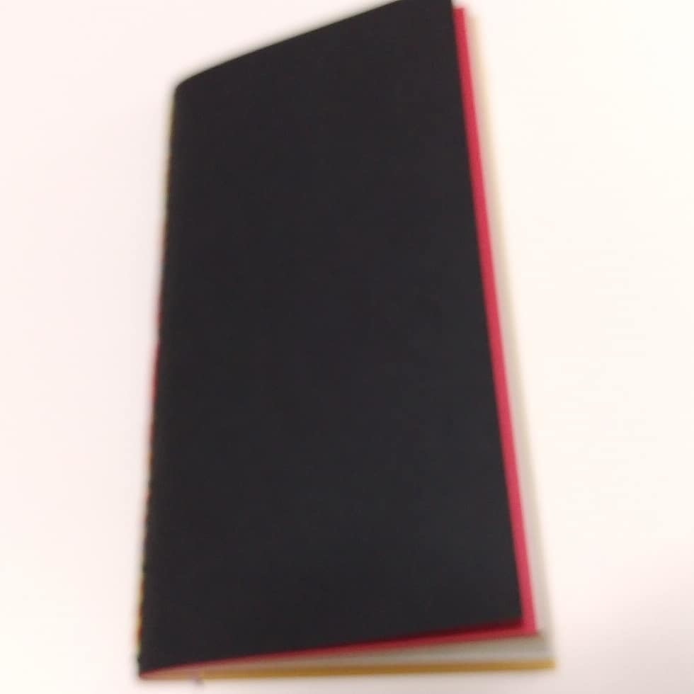 【traveler's】紙たくさん! 15 ガイア黒 トラベラーズノート