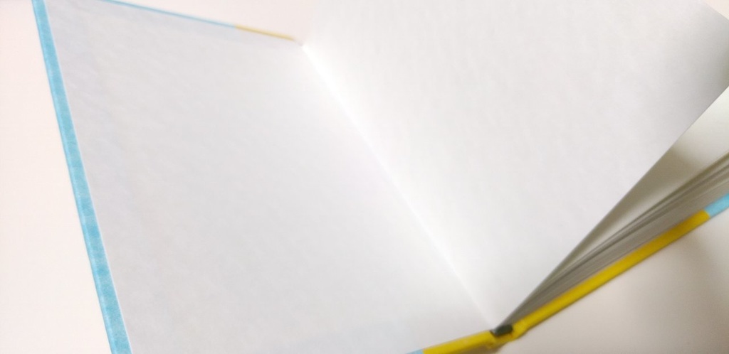 紙たくさん!【Jフラット】6.グッピー青&かぐや黄