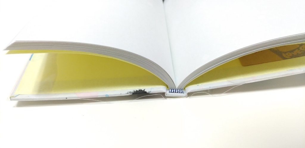 たくさん!【旅とも!】DIVE!