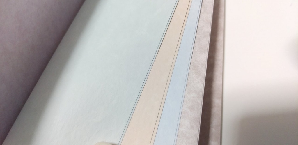 【traveler's】紙たくさん! 34 かわいい子猫とまちで食いだおれ