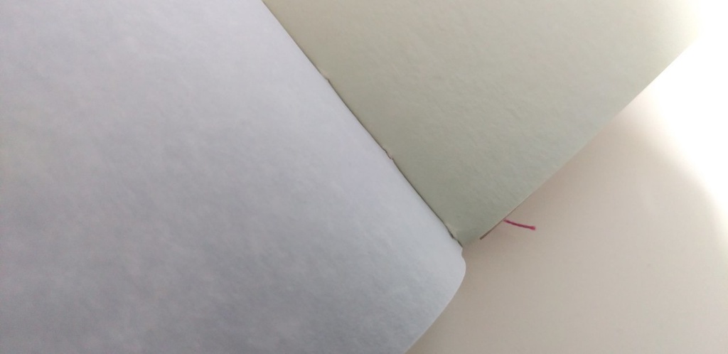 【traveler's】紙たくさん! 34 かわいい子猫とまちで食いだおれ