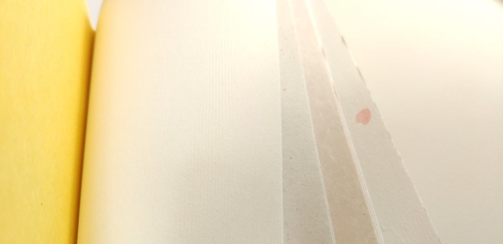 紙たくさん!A6【紙宵】 魔女の庭