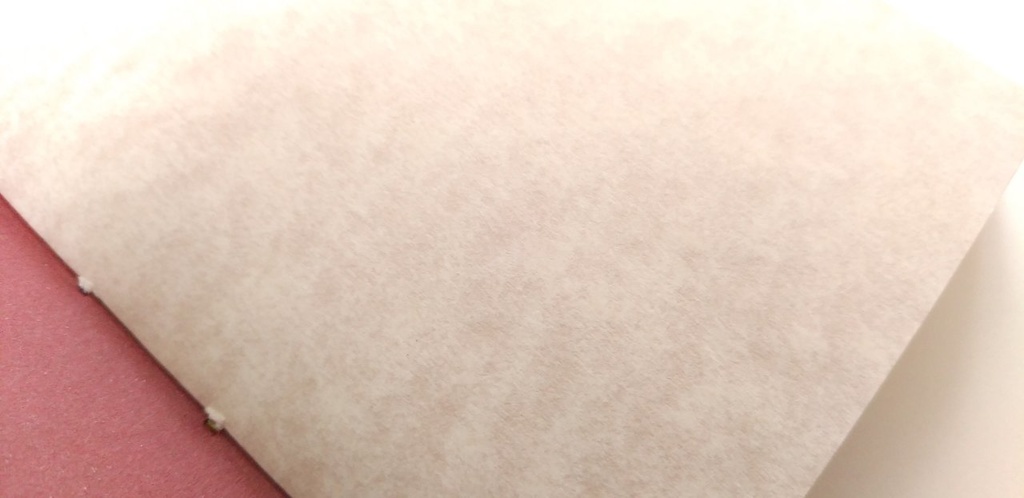 【traveler's】 9 桜国でうたう