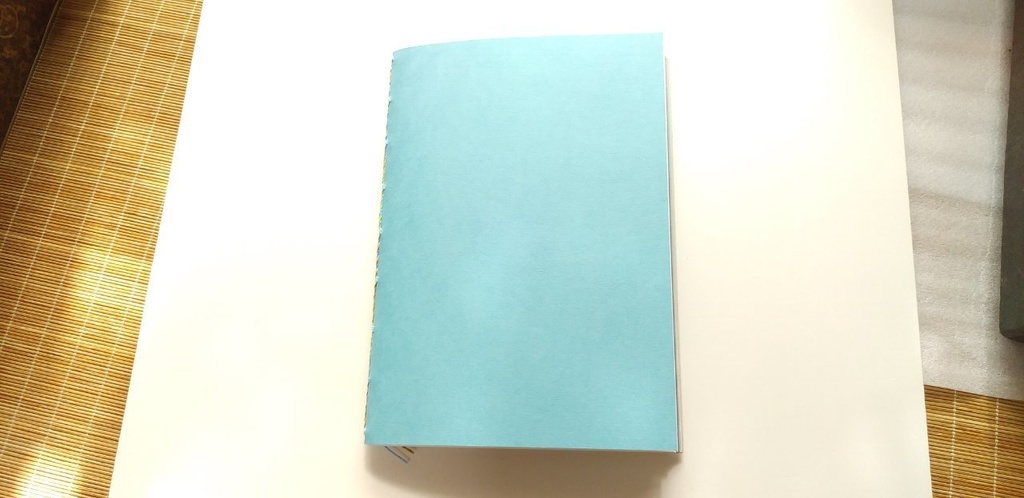 A5ノート「下向き少年のヒミツ」