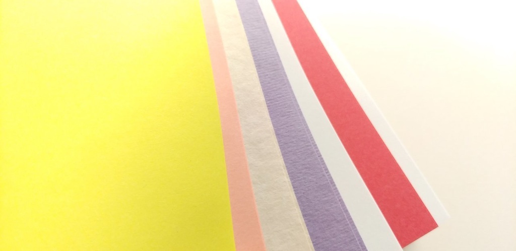 A5ノート 「知的パフォーマー」