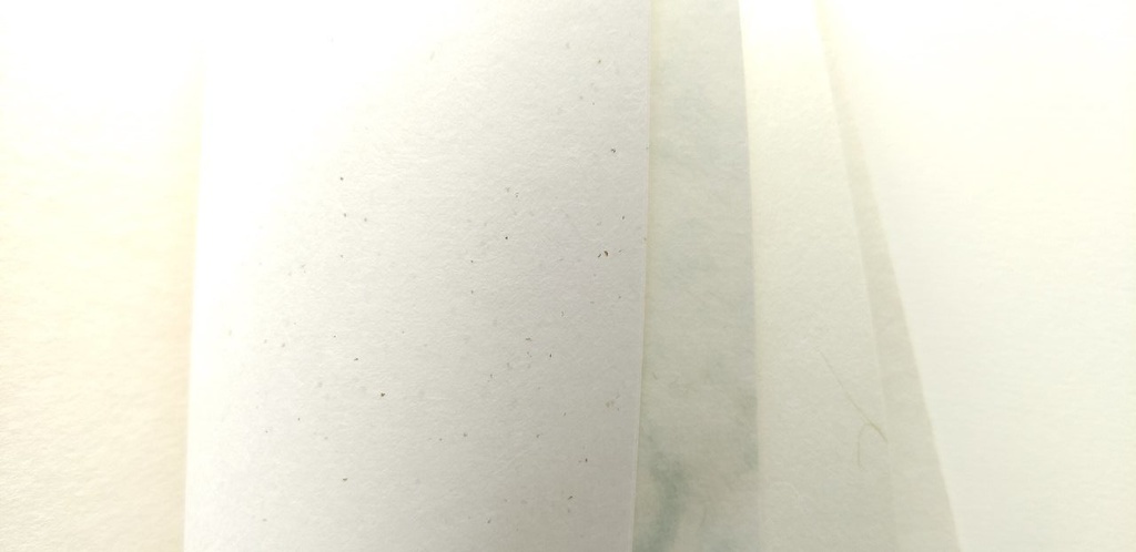 A6ノート 青柳にささやく 【紙たくさん!ノート】