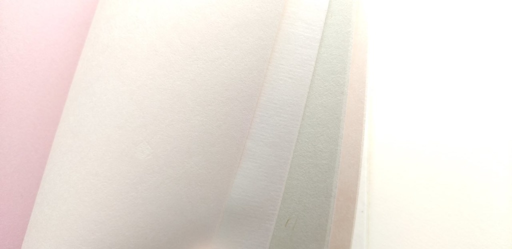 A6ノート 青柳にささやく 【紙たくさん!ノート】