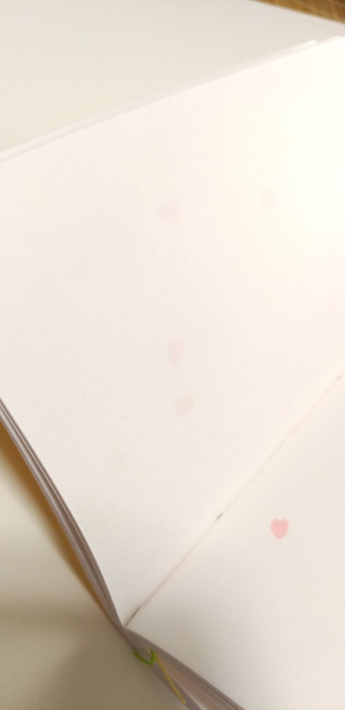 紙たくさん!A6ノート【192】陽気