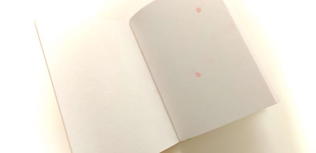 紙たくさん!A6【192】好奇心